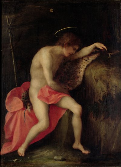 Saint Jean-Baptiste dans le désert - Andrea del Sarto